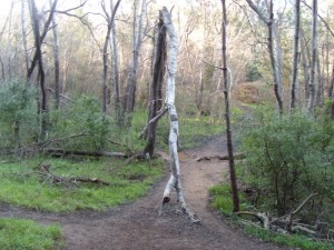 Helderberg Plaas Hike photo